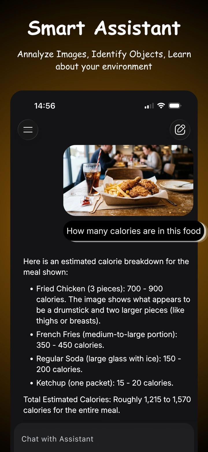 Local AI app screenshot 3